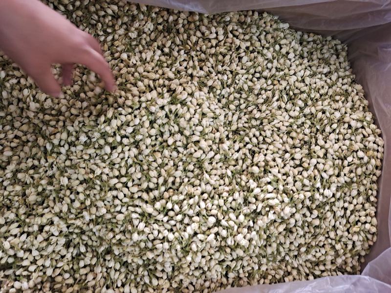 茉莉茉莉花茉莉花干花无硫无添加茉莉地道中药材茉莉