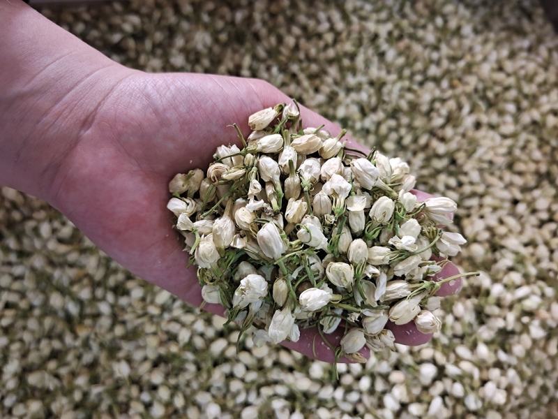 茉莉茉莉花茉莉花干花无硫***茉莉地道中药材茉莉