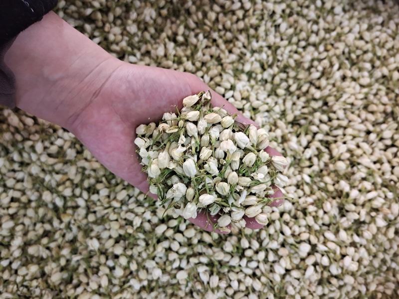 茉莉茉莉花茉莉花干花无硫***茉莉地道中药材茉莉
