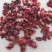 山萸肉中药材批发山茱萸山芋肉山萸肉量大优惠