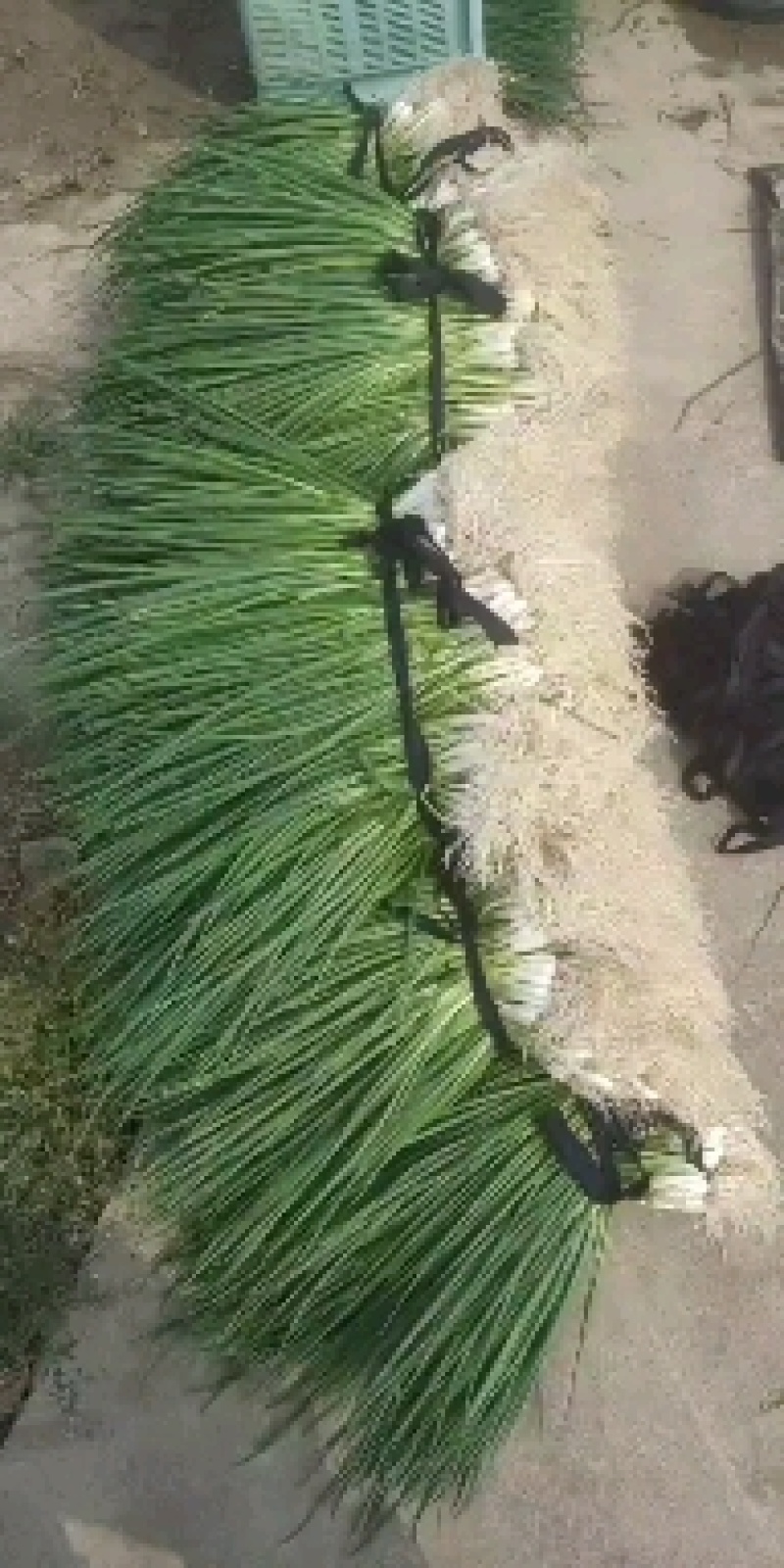 浦东新区蔬菜礼包