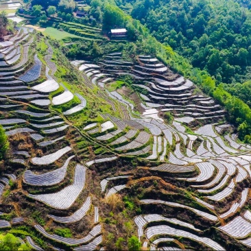 我要卖茶叶