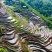 我要卖茶叶
