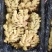 【精品小黄姜】山东大小黄姜,窖藏泥姜产地直销