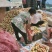 果园现摘新鲜质量好油桃大量上市了，特脆特甜