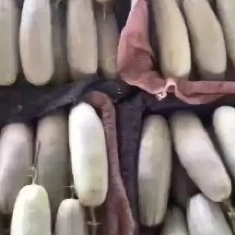 博洋六