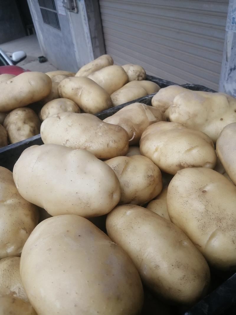 希森3号土豆，土豆漂亮。