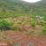 山地