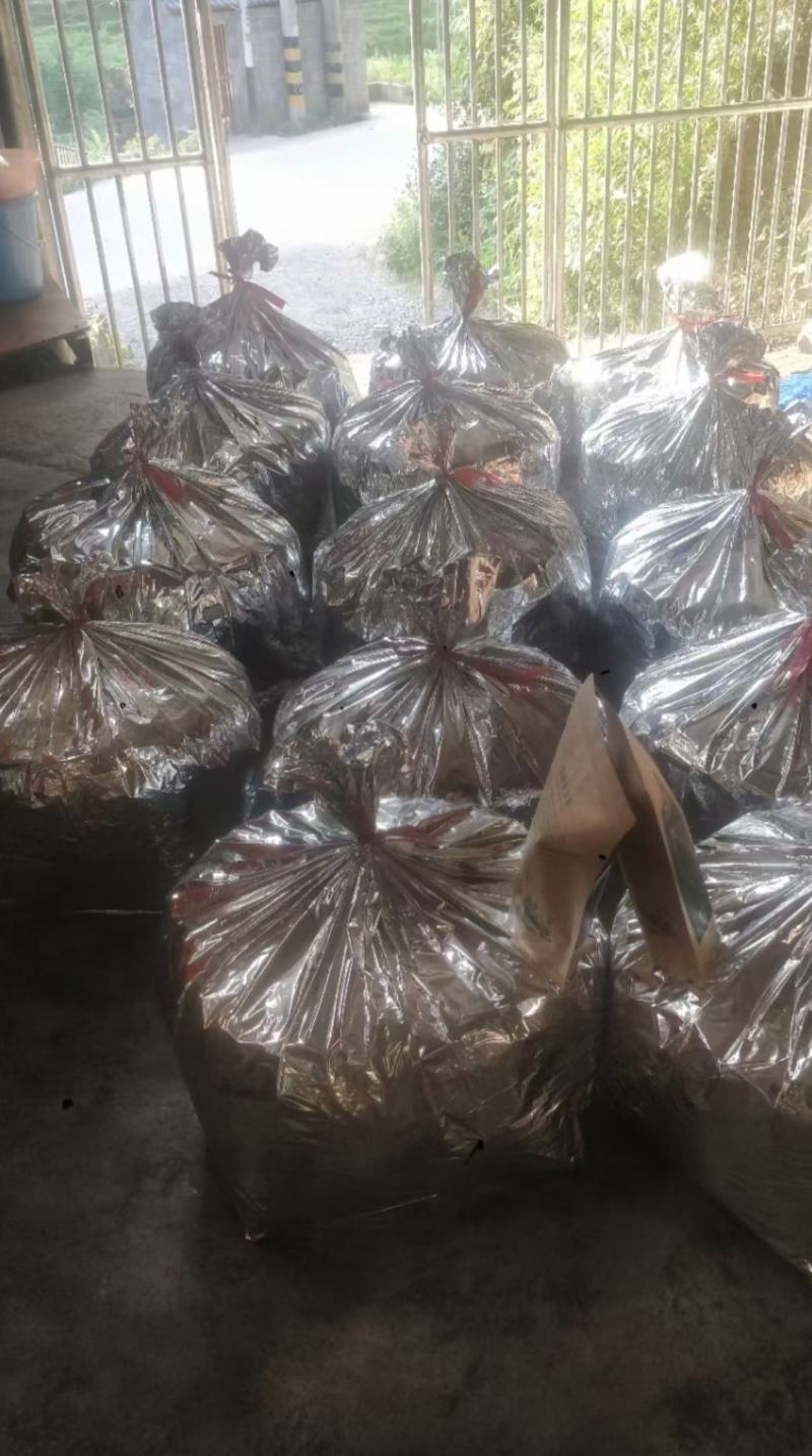 湖南湘西保靖黄金茶，红茶二叶一芽办公系列(红茶)
