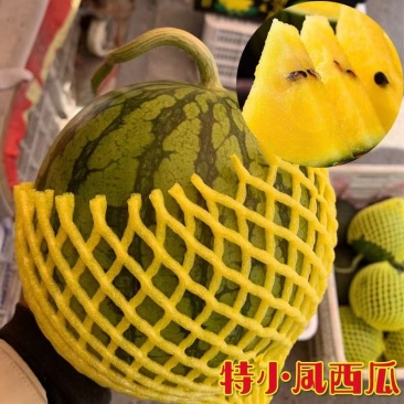江苏盐城特小凤黄心西瓜，脆甜多汁品质保证