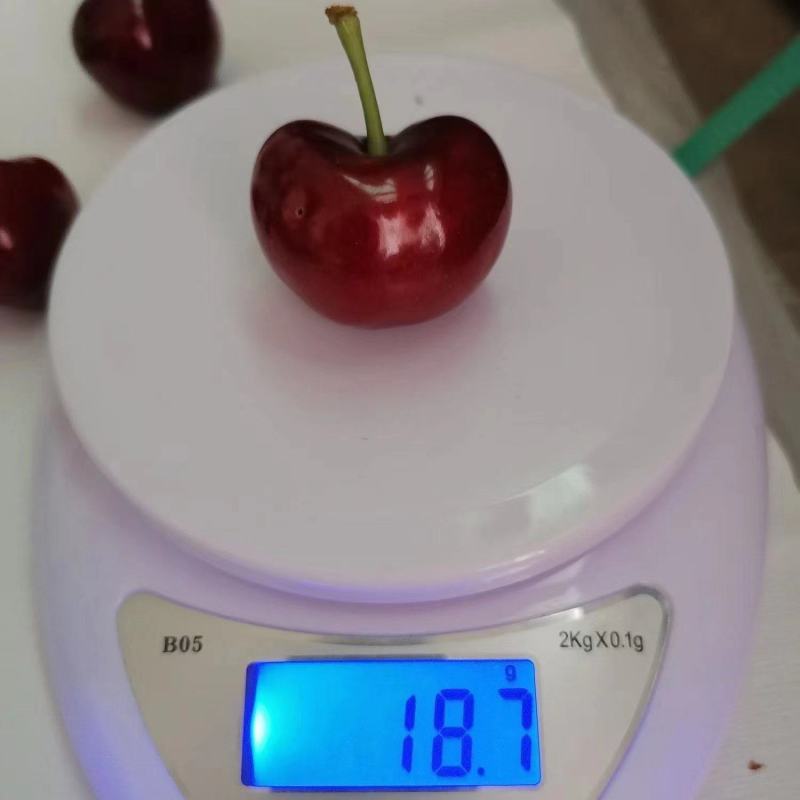 汉原车厘子红灯可视频看货原产地直供支持线上交易