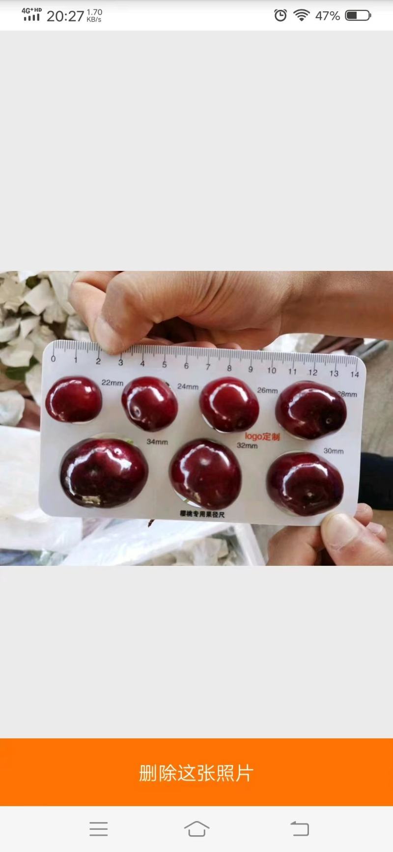 汉原车厘子红灯可视频看货原产地直供支持线上交易