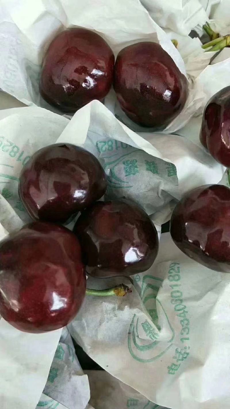 汉原车厘子红灯可视频看货原产地直供支持线上交易