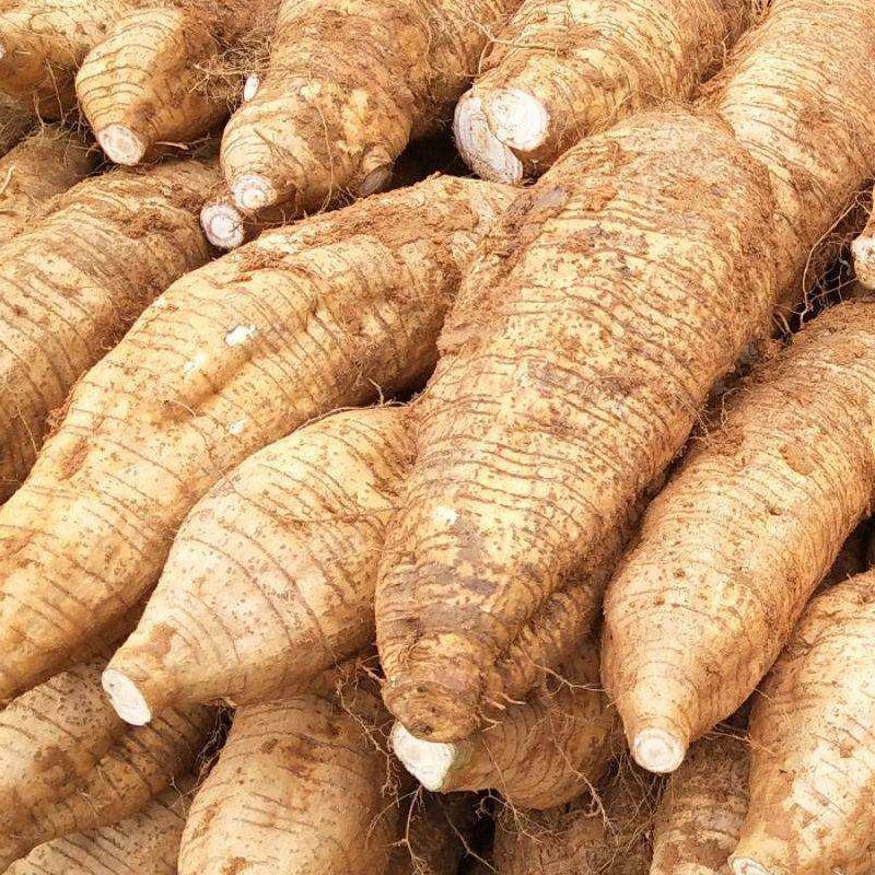葛根粉条粉丝正宗手工葛根粉火锅酸辣粉纯正天然葛根粉丝