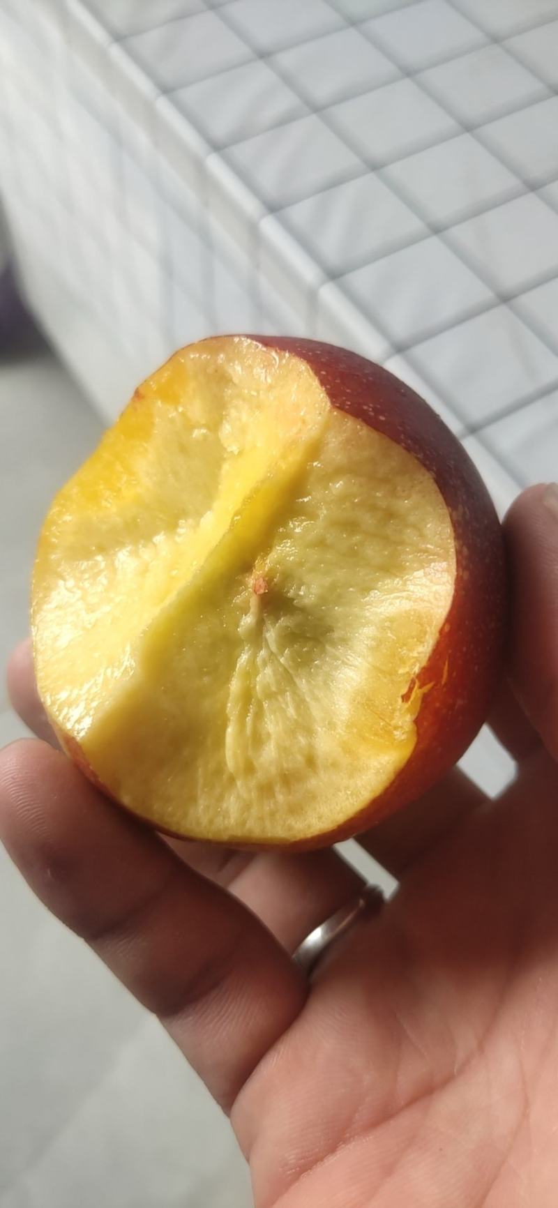 陆地毛桃油桃一件代发顺丰+泡沫箱，0售后发货
