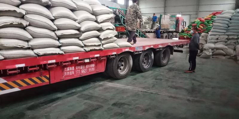 三选米鸡米色选米喂鸡喂鸭喂鹅米喂猪米