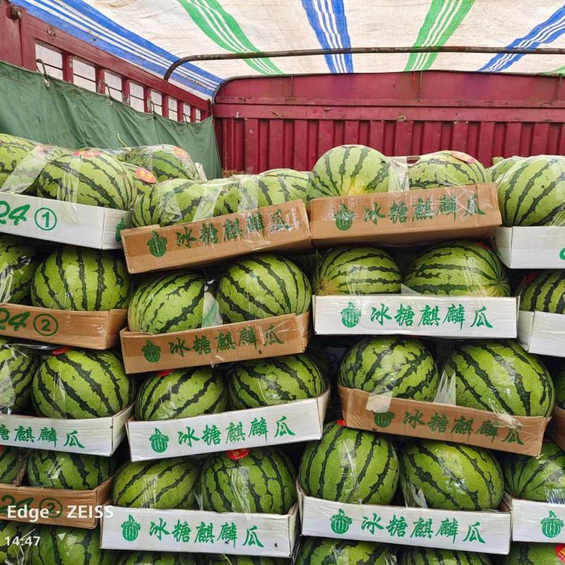开封西瓜美都西瓜冰激凌口感无籽西瓜沙土地西瓜