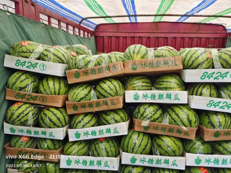开封西瓜美都西瓜冰激凌口感无籽西瓜沙土地西瓜