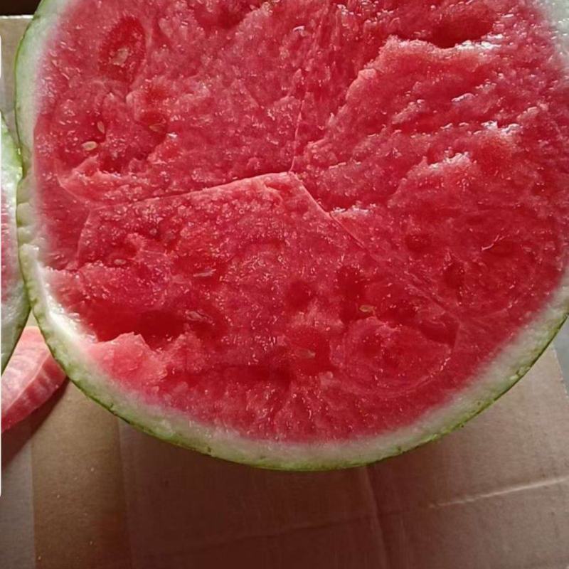 新疆吐鲁番火焰山西瓜正在热销中