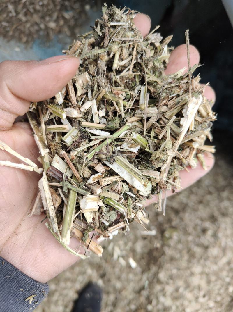益母草低等货统批发零售诚信经营支持混批量大从优支持混