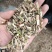 益母草低等货统批发零售诚信经营支持混批量大从优支持混