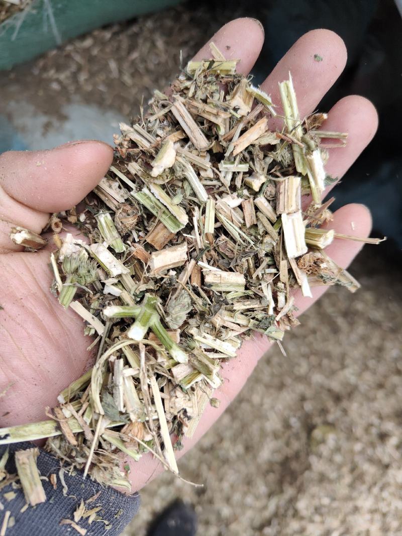 益母草低等货统批发零售诚信经营支持混批量大从优支持混