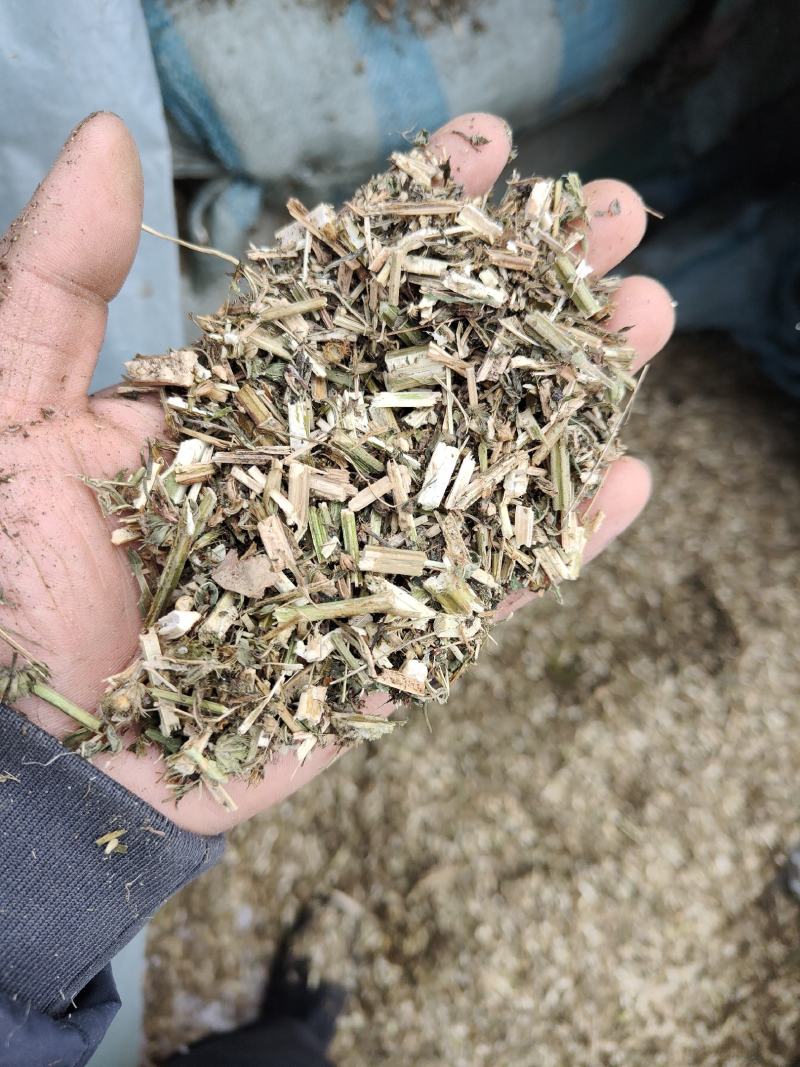 益母草低等货统批发零售诚信经营支持混批量大从优支持混