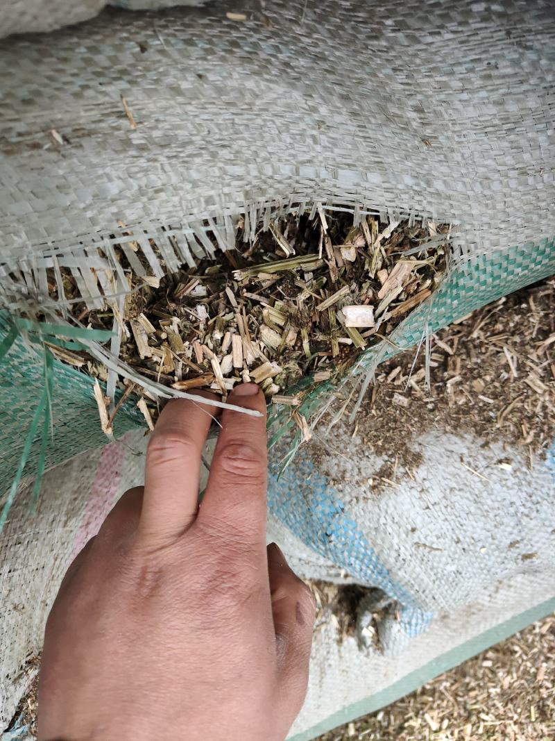 益母草低等货统批发零售诚信经营支持混批量大从优支持混