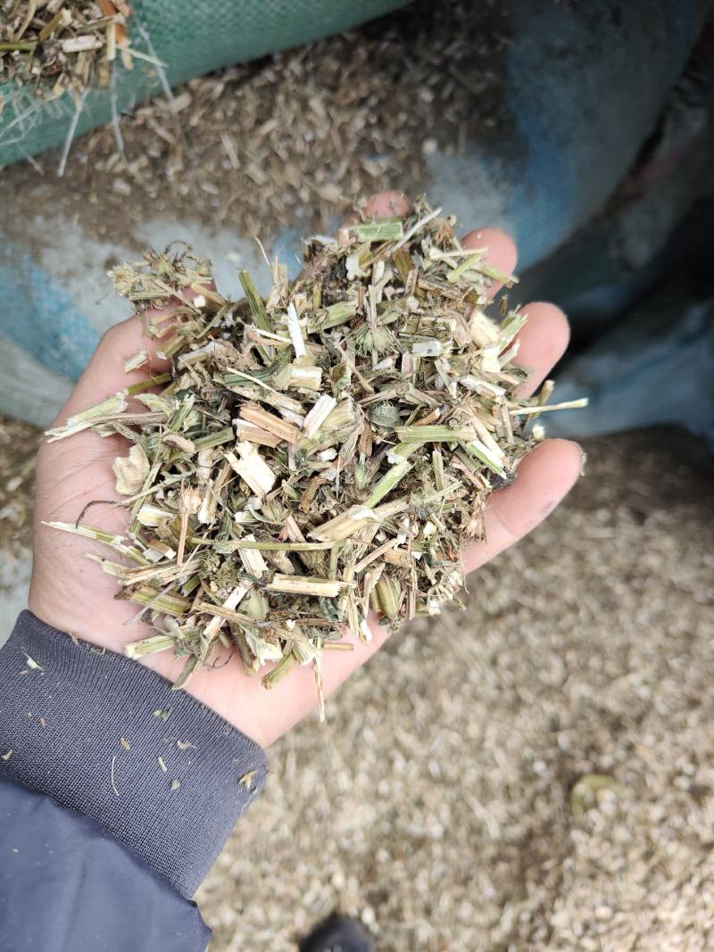 益母草低等货统批发零售诚信经营支持混批量大从优支持混