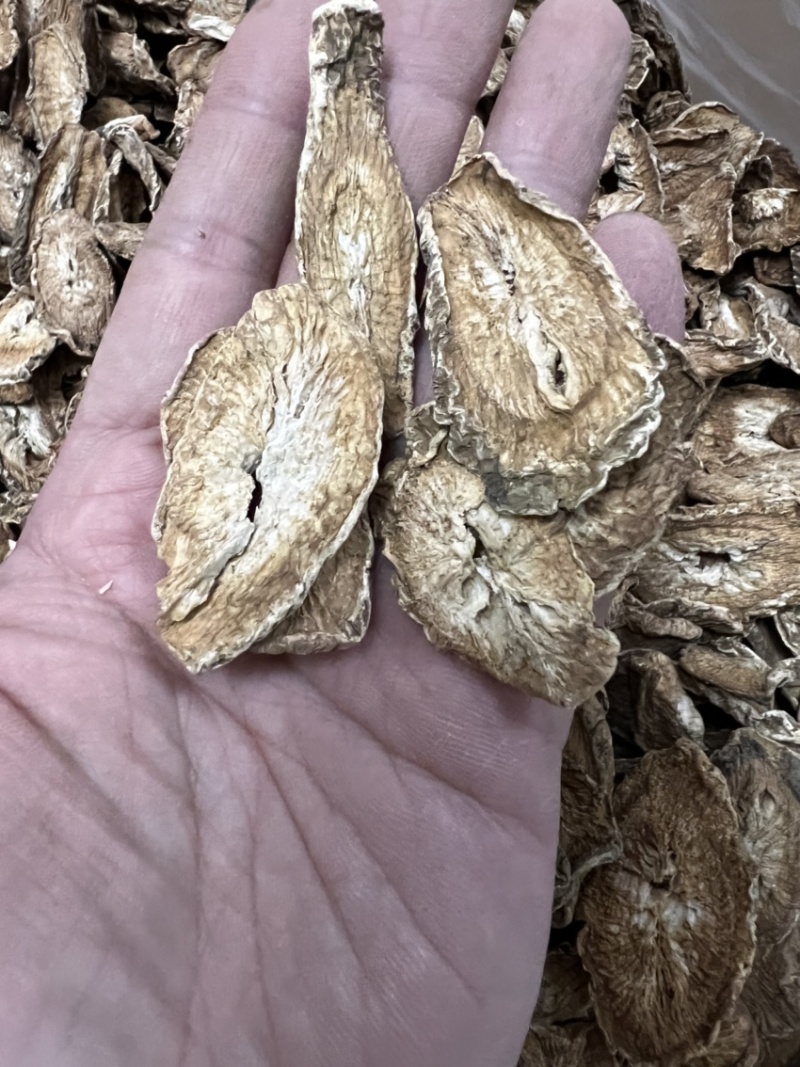 牛蒡根又名牛菜、恶实根中药用、泡茶专用无硫水洗干净。