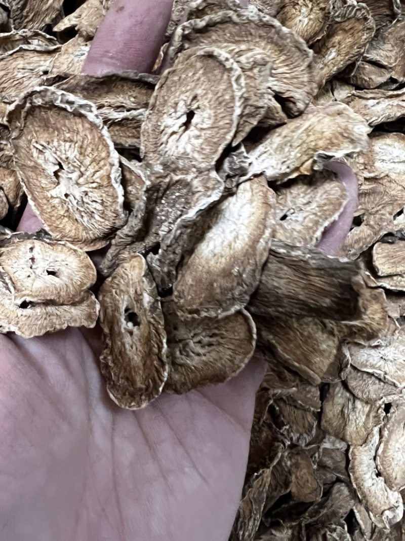 牛蒡根又名牛菜、恶实根中药用、泡茶专用无硫水洗干净。