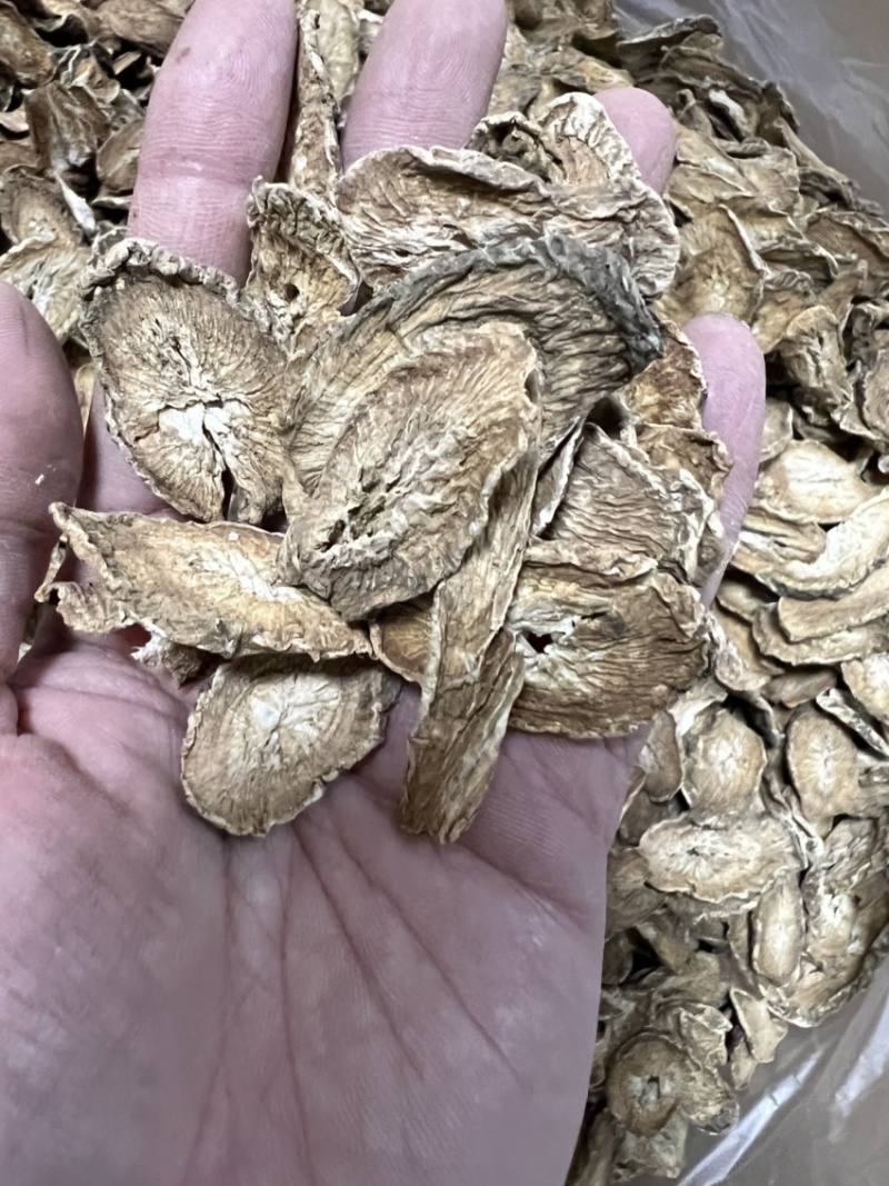 牛蒡根又名牛菜、恶实根中药用、泡茶专用无硫水洗干净。