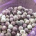 黑山紫皮独头蒜瓣蒜6月中旬大量上市，承接一件代发，