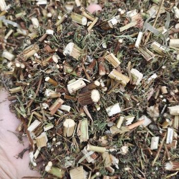青蒿青蒿今年新货产地山东省实物拍摄地道药材紫轩堂药业