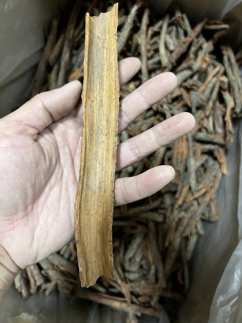 红杜仲皮精选红杜仲皮中药材用足干无硫广西货