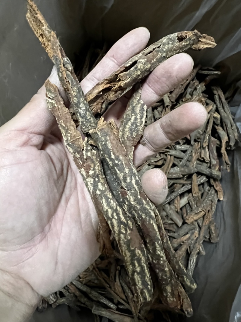 红杜仲皮精选红杜仲皮中药材用足干无硫广西货
