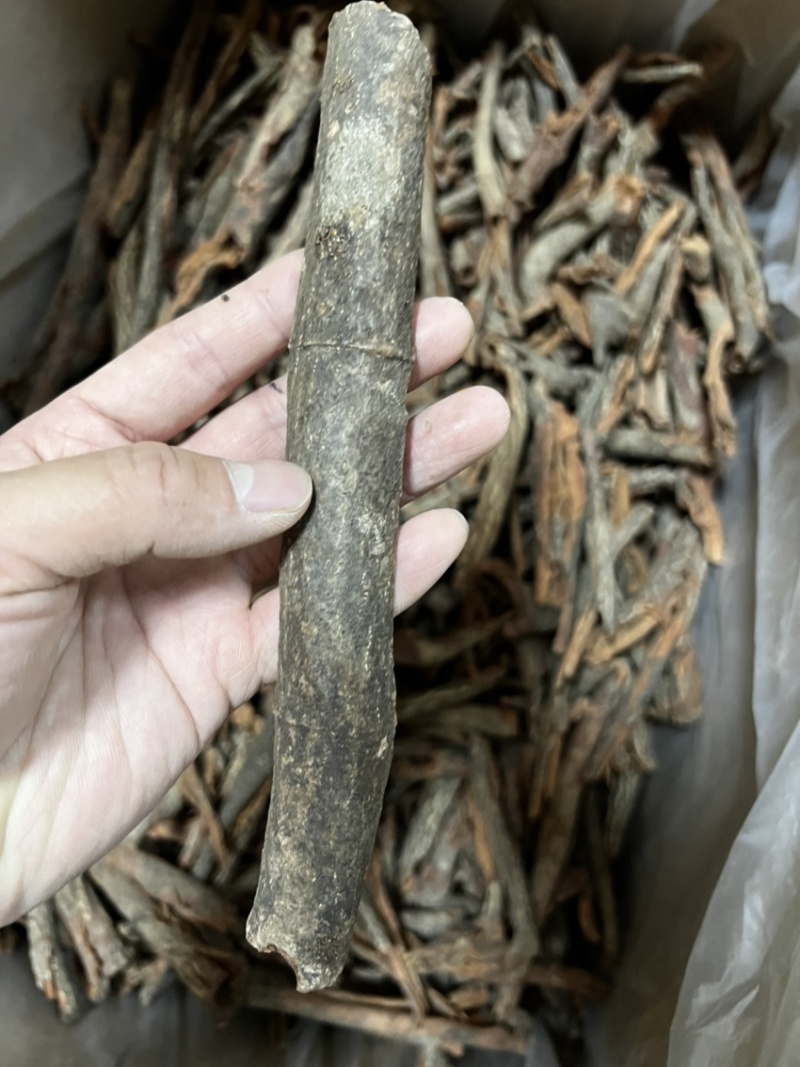 红杜仲皮精选红杜仲皮中药材用足干无硫广西货