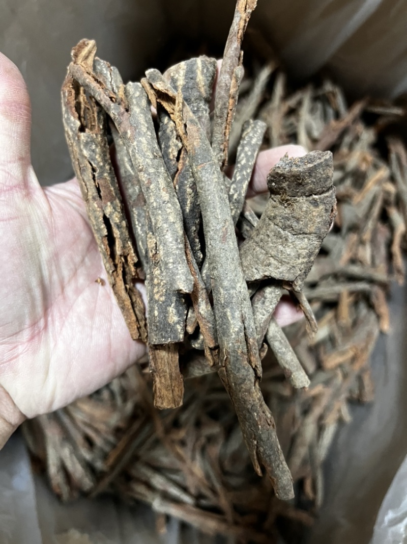 红杜仲皮精选红杜仲皮中药材用足干无硫广西货