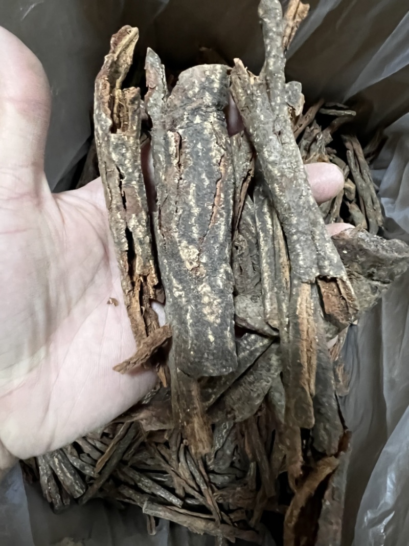 红杜仲皮精选红杜仲皮中药材用足干无硫广西货
