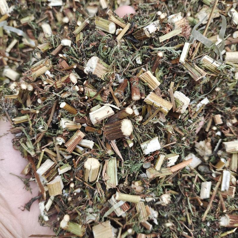 青蒿青蒿今年新货产地山东省实物拍摄地道药材紫轩堂药业