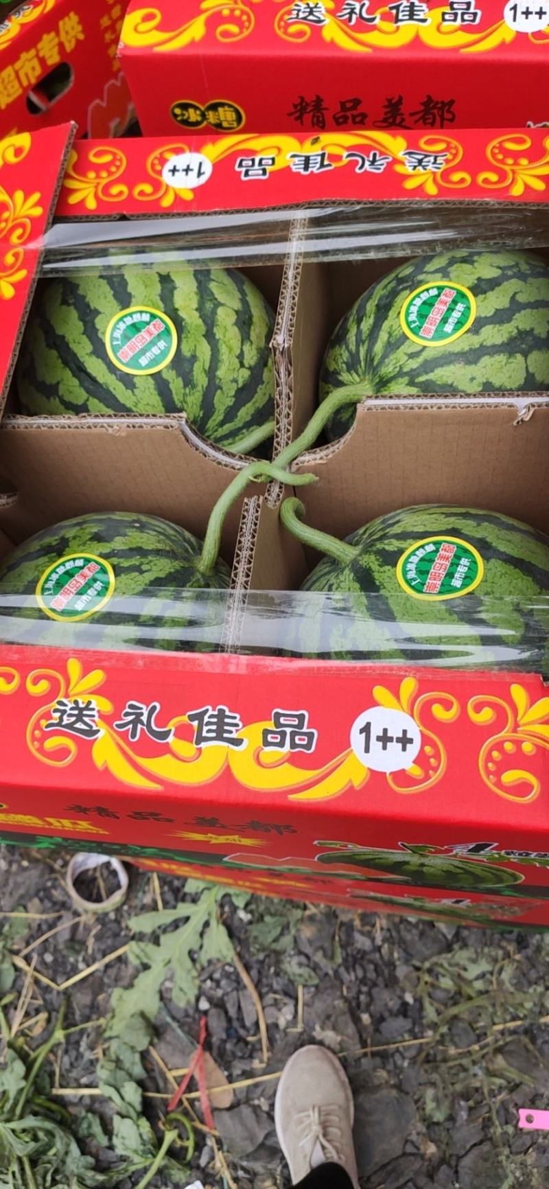 精品麒麟西瓜大量上市基地一手货源对接电商市场商超
