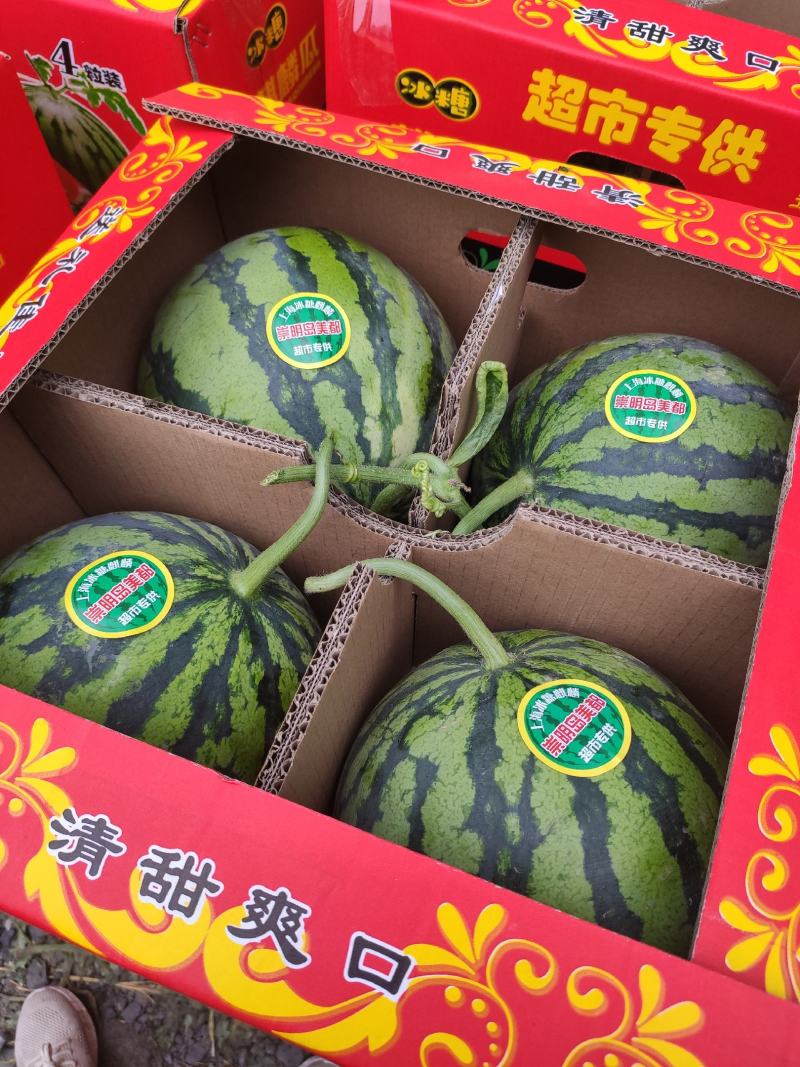精品麒麟西瓜大量上市基地一手货源对接电商市场商超