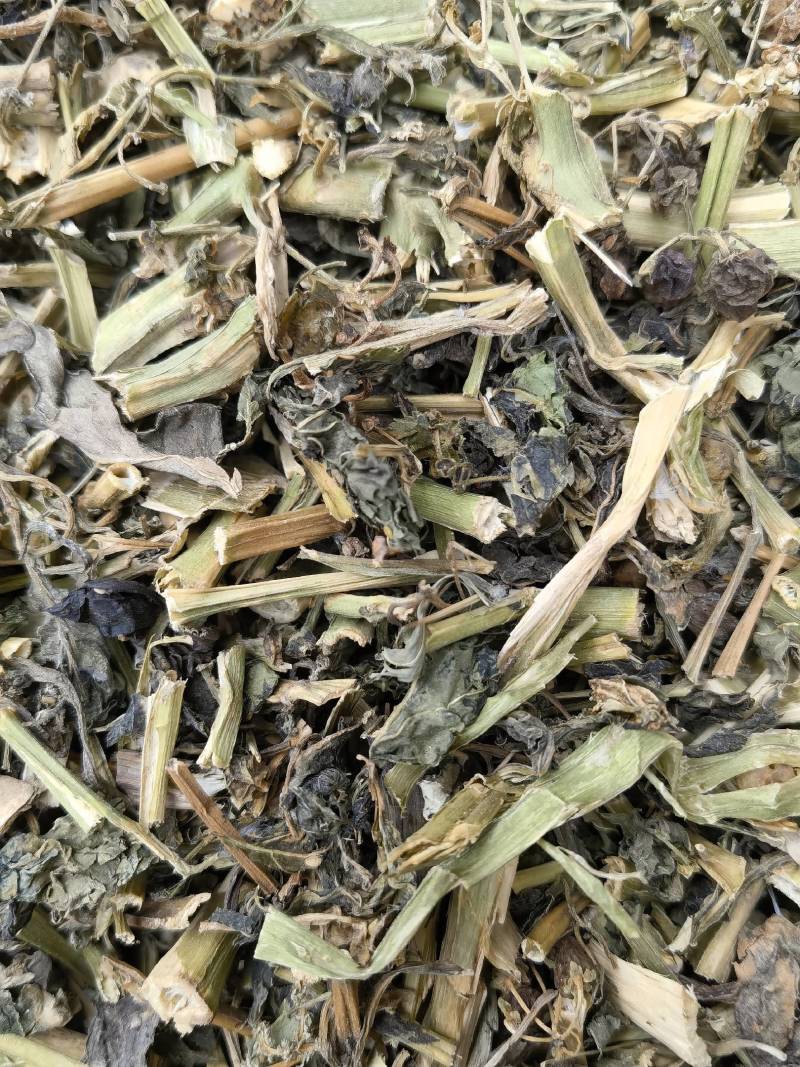龙葵新货切段关书药业批发中药材规格齐全