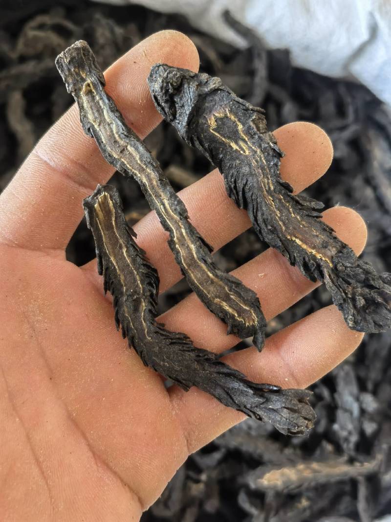 肉苁蓉水洗软大条片关书药业品质保证