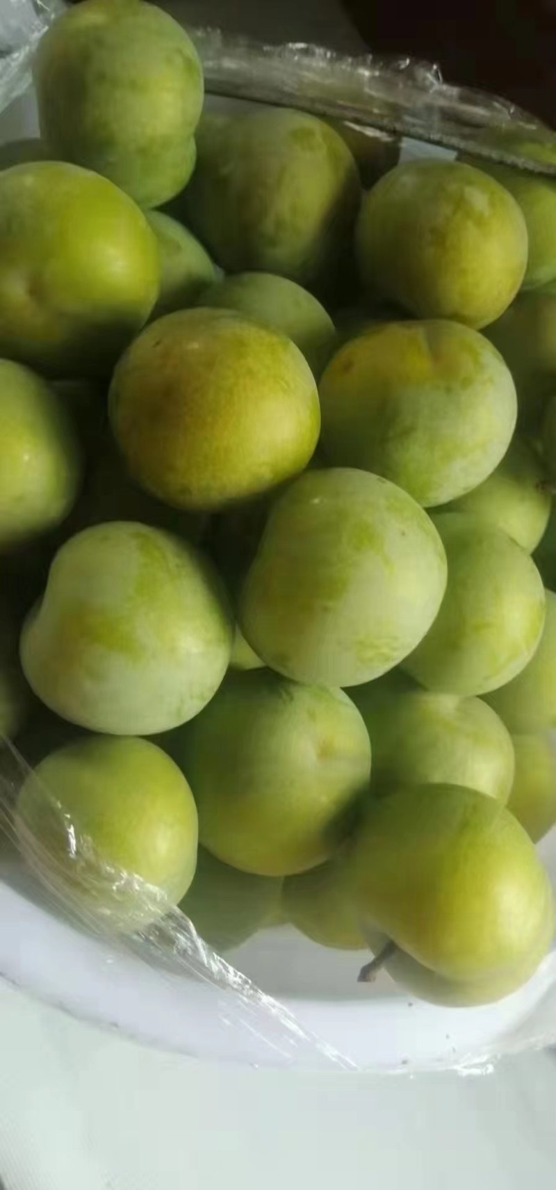 贵州蜂糖李，精品包装四五以上，个大饱满，含能量高