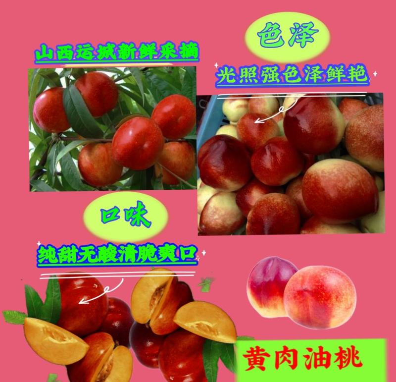 新鲜水果早熟油桃黄肉油桃55MM以上露天油桃产地批发