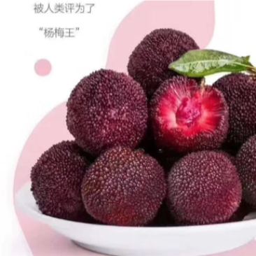 龙海市浮宫杨梅