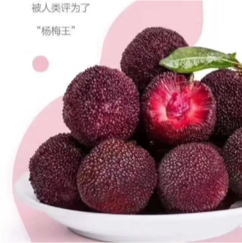 龙海市浮宫杨梅