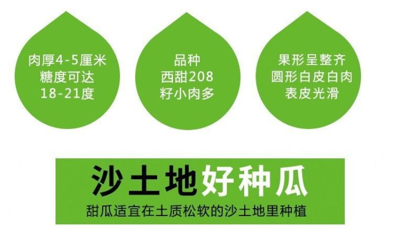 【2022头茬】10斤爆甜阎良甜瓜当季新鲜水果孕妇香瓜密