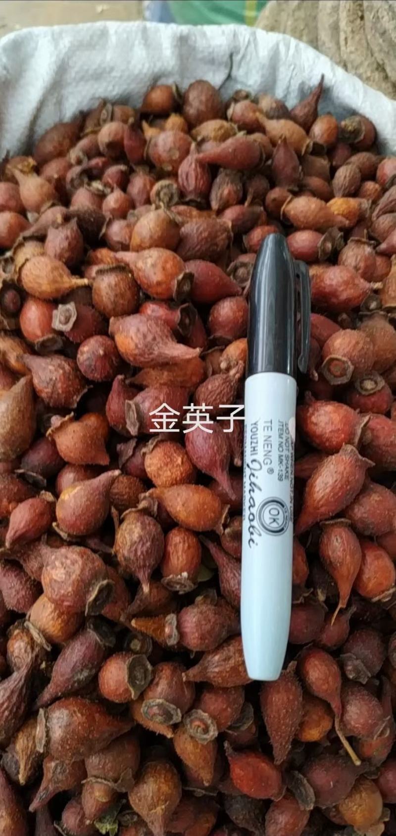 金樱子